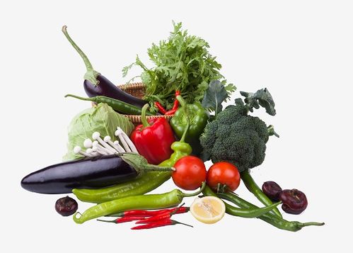 平衡飲食的關(guān)鍵 聚焦重點(diǎn)食物與科學(xué)餐飲服務(wù)