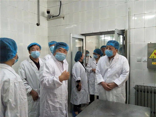 濟(jì)南旅游學(xué)校餐飲服務(wù)食品安全獲評(píng)A級(jí)，順利通過市級(jí)專項(xiàng)檢查