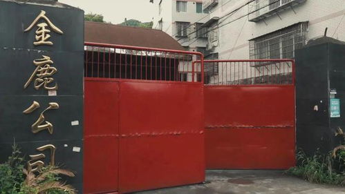 溫州一工廠涉嫌生產(chǎn)偽劣酒品被查封，負責人被控制